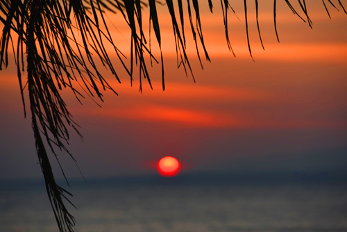 Apo Island Philippines