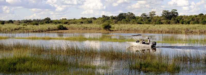 Guide Botswana