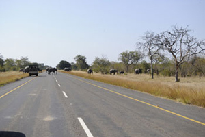 Driving Botswana